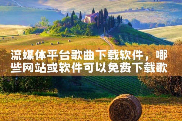 流媒体平台歌曲下载软件