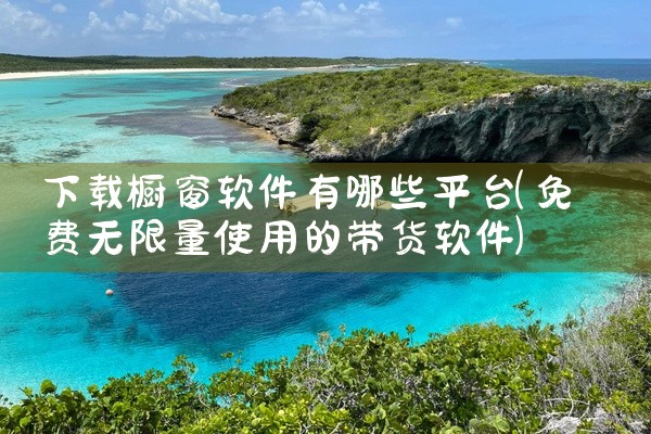 下载橱窗软件有哪些平台