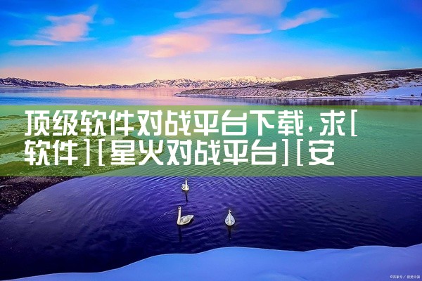 顶级软件对战平台下载
