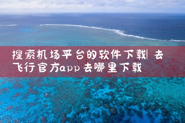 搜索机场平台的软件下载