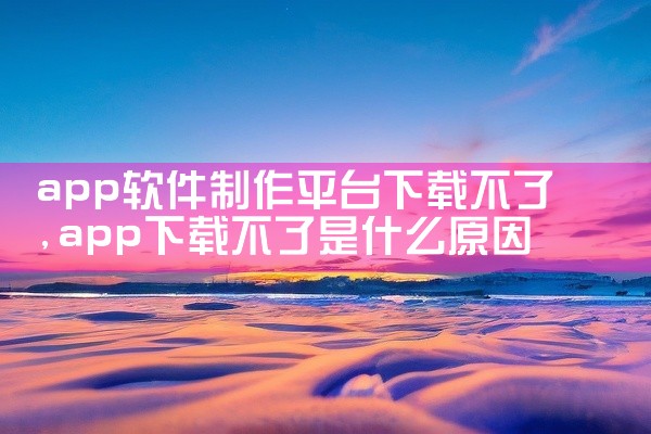 app软件制作平台下载不了