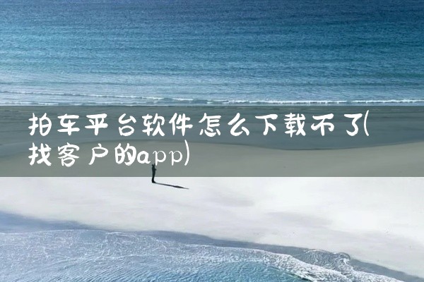 拍车平台软件怎么下载不了