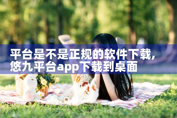 平台是不是正规的软件下载