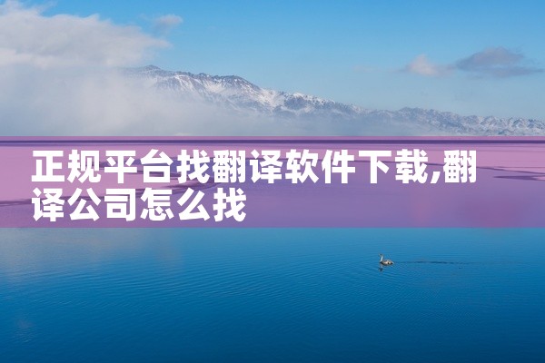 正规平台找翻译软件下载