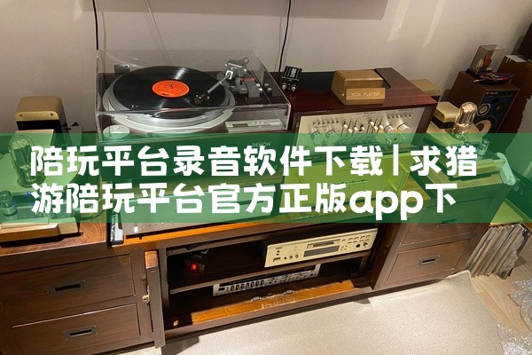 陪玩平台录音软件下载